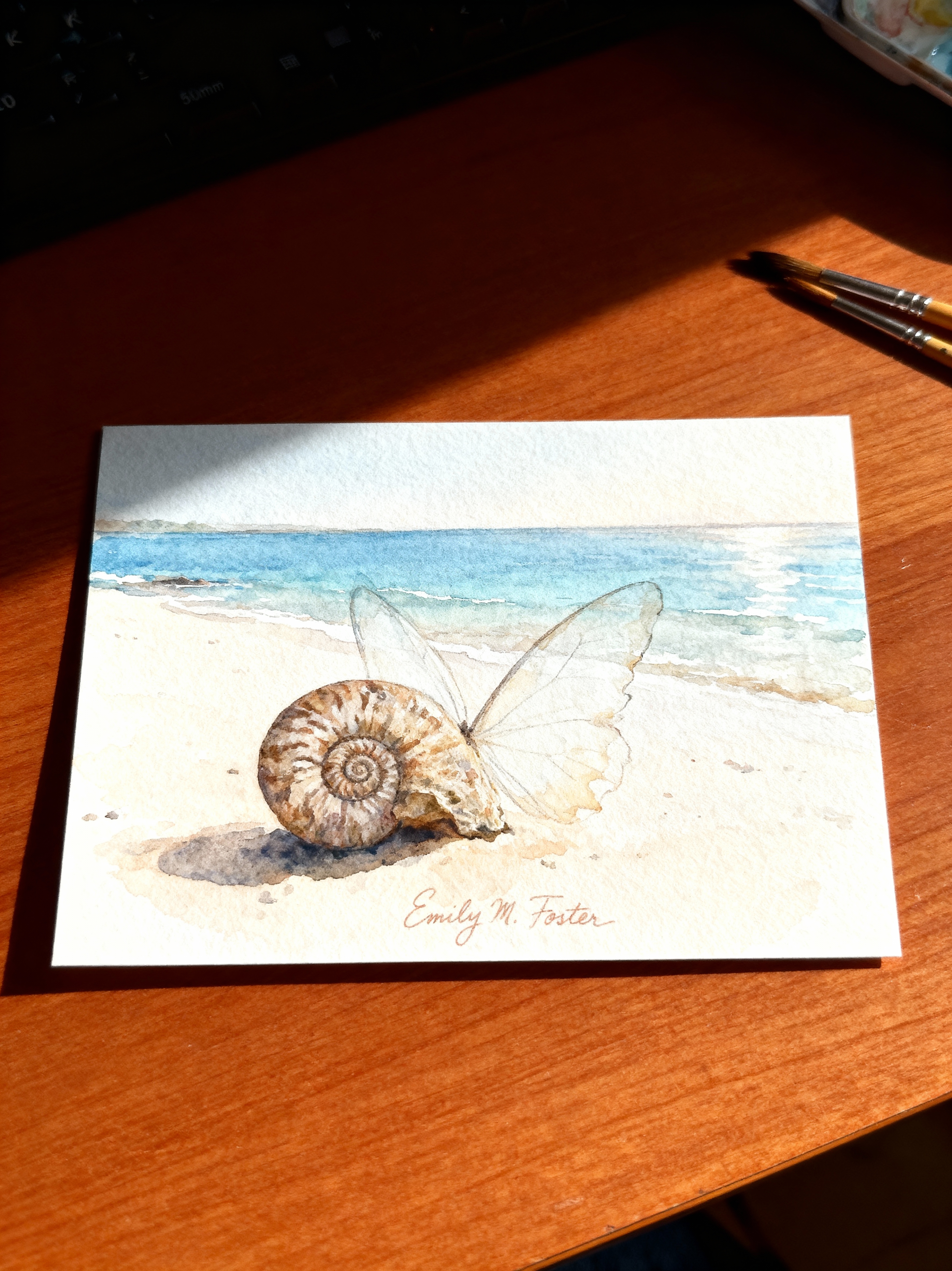 A watercolour paiting of an ammonite shell and delicate butterfly wings